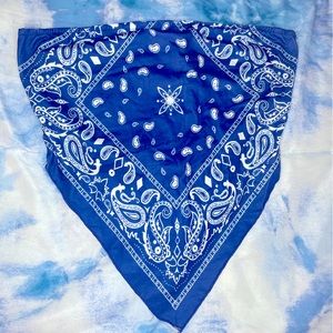 New Paisley Print Tube Bandana Top